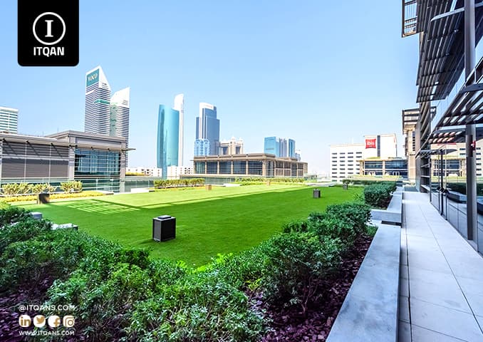 Dubai Free Zone
